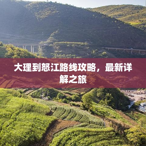 2025年5月3日 第18页