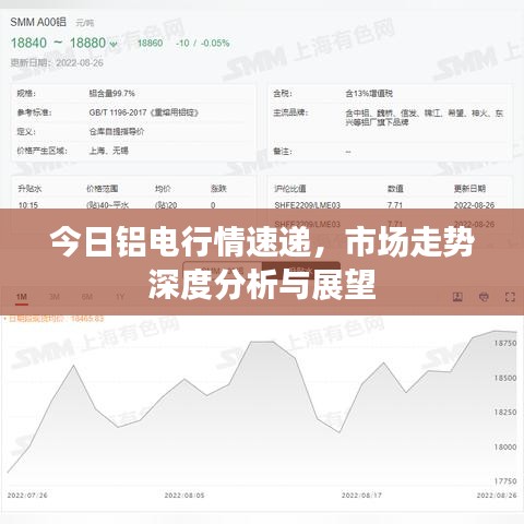 今日铝电行情速递，市场走势深度分析与展望