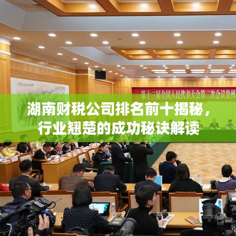 湖南财税公司排名前十揭秘，行业翘楚的成功秘诀解读