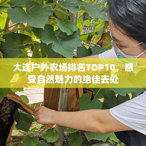 大连户外农场排名TOP10，感受自然魅力的绝佳去处