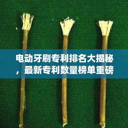 电动牙刷专利排名大揭秘，最新专利数量榜单重磅出炉！