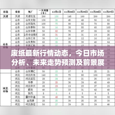 废纸最新行情动态，今日市场分析、未来走势预测及前景展望