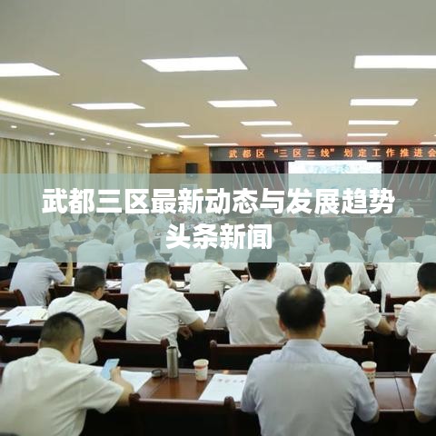 武都三区最新动态与发展趋势头条新闻