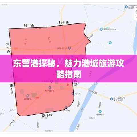 东营港探秘，魅力港城旅游攻略指南