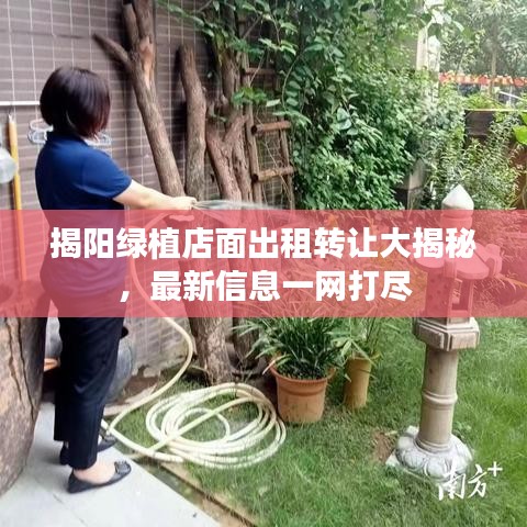 揭阳绿植店面出租转让大揭秘，最新信息一网打尽