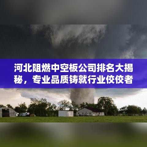 河北阻燃中空板公司排名大揭秘，专业品质铸就行业佼佼者
