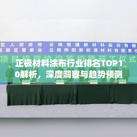 正极材料涂布行业排名TOP10解析，深度洞察与趋势预测