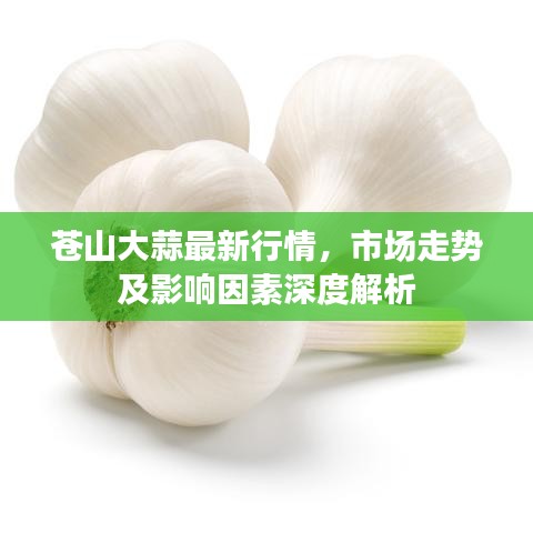 苍山大蒜最新行情，市场走势及影响因素深度解析