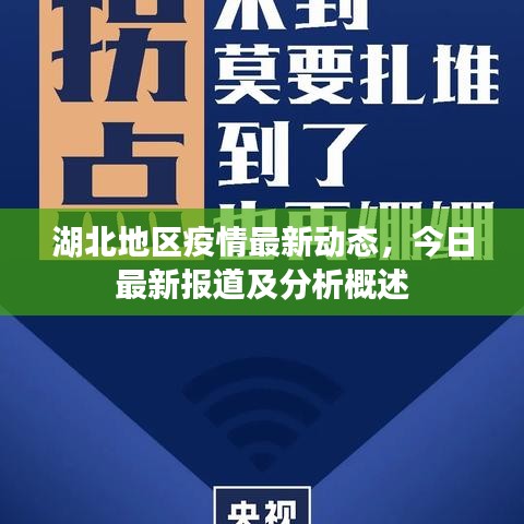 湖北地区疫情最新动态，今日最新报道及分析概述