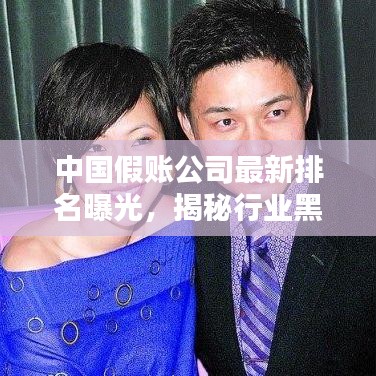 中国假账公司最新排名曝光，揭秘行业黑幕