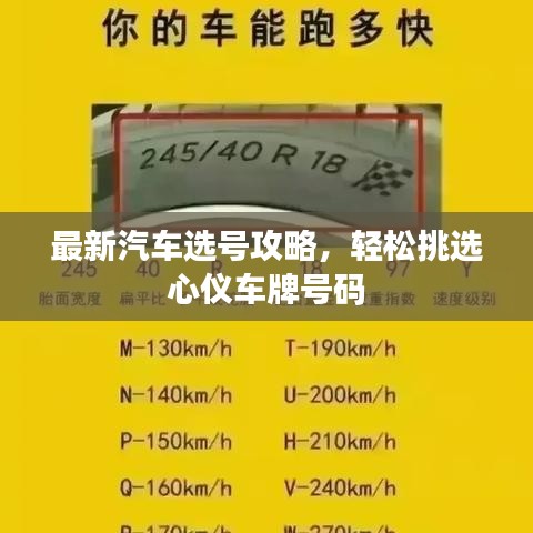 最新汽车选号攻略，轻松挑选心仪车牌号码