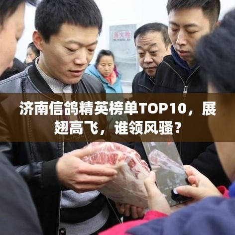 济南信鸽精英榜单TOP10，展翅高飞，谁领风骚？