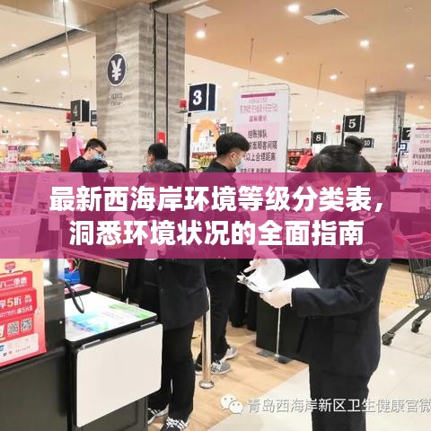 最新西海岸环境等级分类表，洞悉环境状况的全面指南