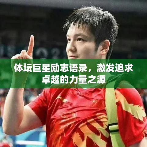 体坛巨星励志语录，激发追求卓越的力量之源
