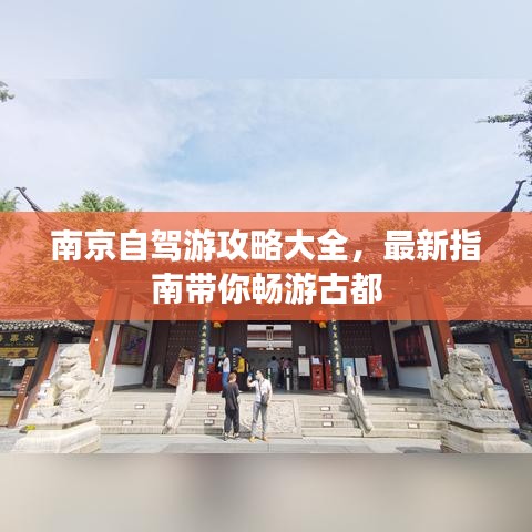 南京自驾游攻略大全，最新指南带你畅游古都
