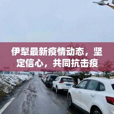 伊犁最新疫情动态，坚定信心，共同抗击疫情