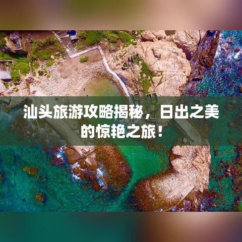 公司动态 第1113页