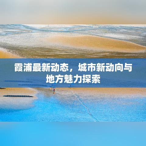霞浦最新动态，城市新动向与地方魅力探索