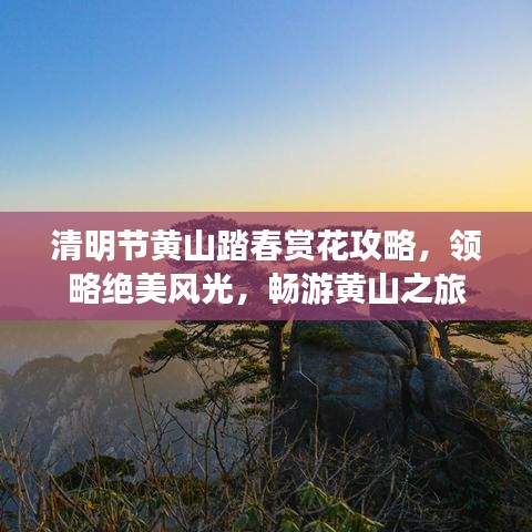 清明节黄山踏春赏花攻略，领略绝美风光，畅游黄山之旅