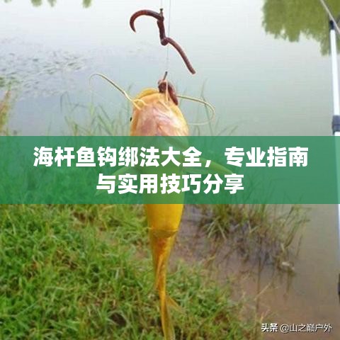 海杆鱼钩绑法大全，专业指南与实用技巧分享
