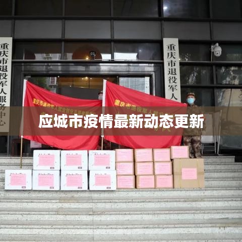应城市疫情最新动态更新