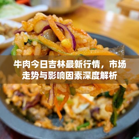 牛肉今日吉林最新行情，市场走势与影响因素深度解析