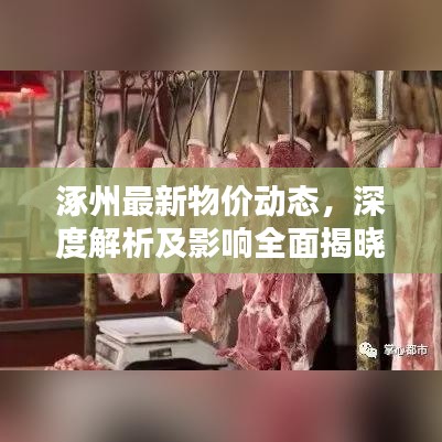 涿州最新物价动态，深度解析及影响全面揭晓
