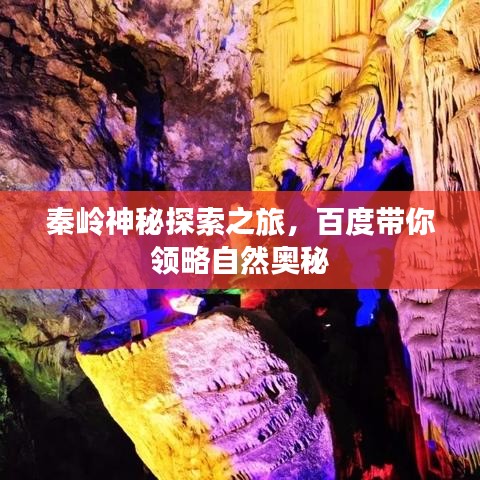 秦岭神秘探索之旅，百度带你领略自然奥秘