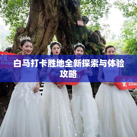 白马打卡胜地全新探索与体验攻略