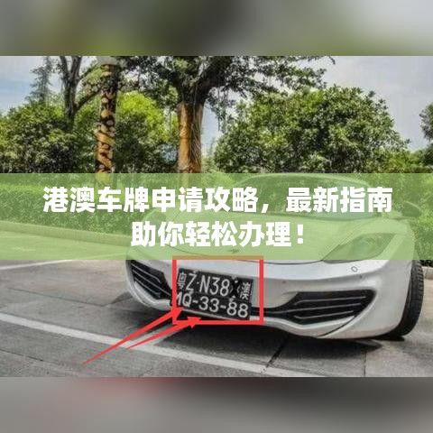 港澳车牌申请攻略，最新指南助你轻松办理！