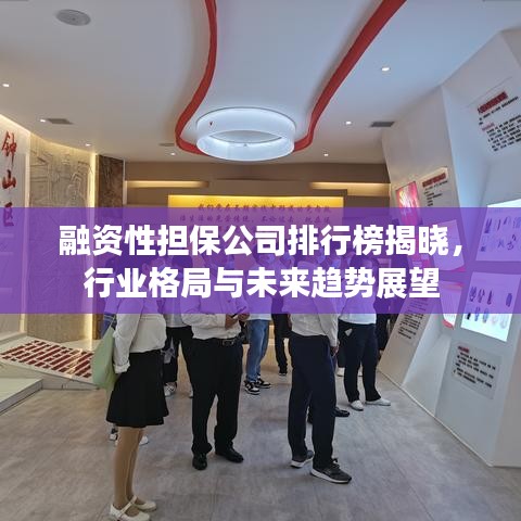 融资性担保公司排行榜揭晓，行业格局与未来趋势展望