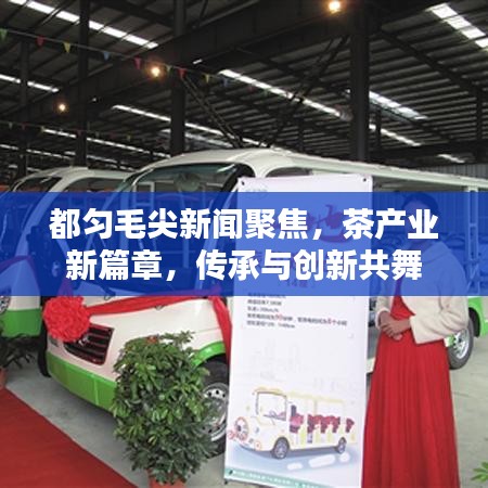 都匀毛尖新闻聚焦，茶产业新篇章，传承与创新共舞