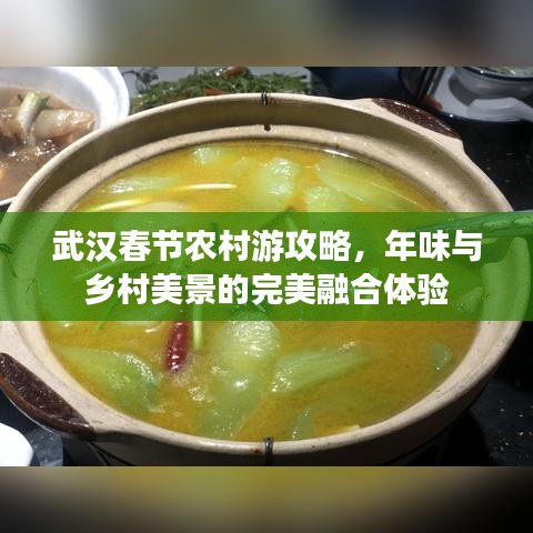 武汉春节农村游攻略，年味与乡村美景的完美融合体验