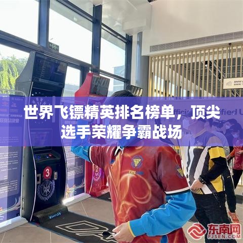 世界飞镖精英排名榜单，顶尖选手荣耀争霸战场