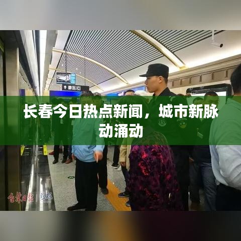 长春今日热点新闻，城市新脉动涌动