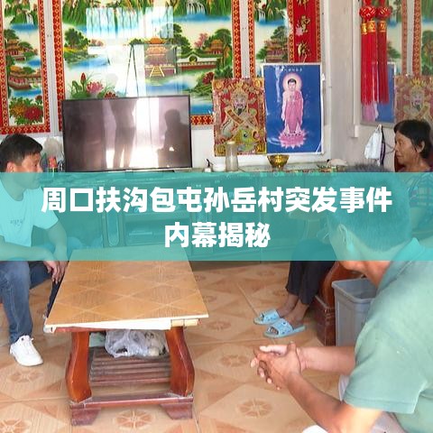 周口扶沟包屯孙岳村突发事件内幕揭秘