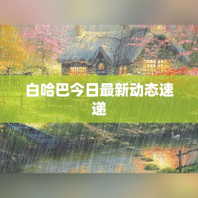 白哈巴今日最新动态速递