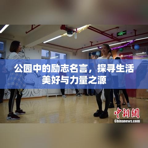 公园中的励志名言，探寻生活美好与力量之源