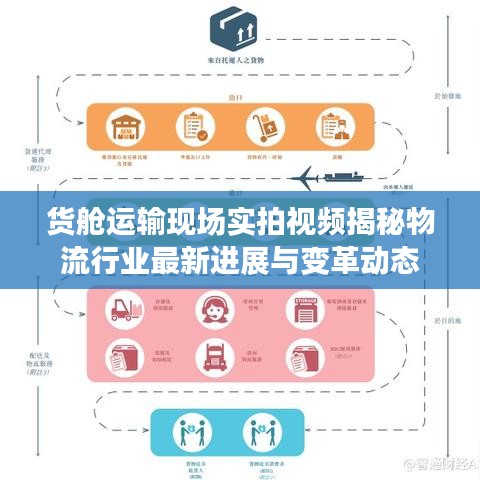 货舱运输现场实拍视频揭秘物流行业最新进展与变革动态