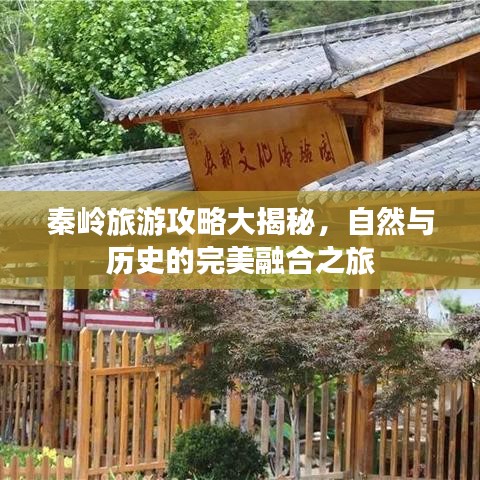 秦岭旅游攻略大揭秘，自然与历史的完美融合之旅