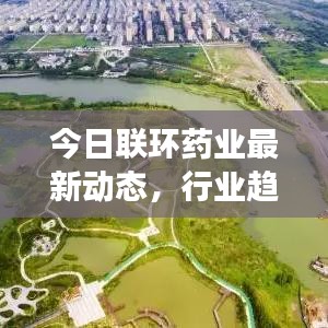 今日联环药业最新动态，行业趋势与未来发展展望