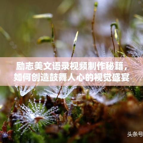 励志美文语录视频制作秘籍，如何创造鼓舞人心的视觉盛宴？