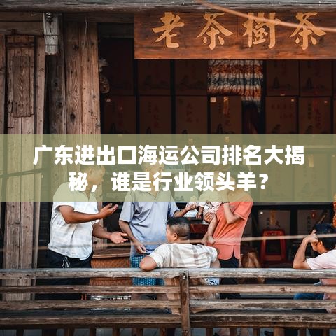 广东进出口海运公司排名大揭秘，谁是行业领头羊？