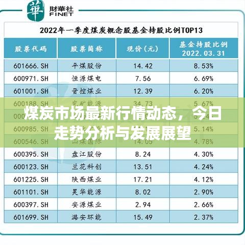 煤炭市场最新行情动态，今日走势分析与发展展望