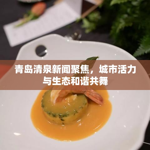 青岛清泉新闻聚焦，城市活力与生态和谐共舞