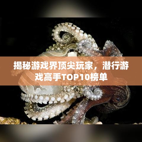 揭秘游戏界顶尖玩家，潜行游戏高手TOP10榜单