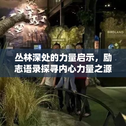 丛林深处的力量启示，励志语录探寻内心力量之源