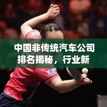中国非传统汽车公司排名揭秘，行业新领军者的探索之旅