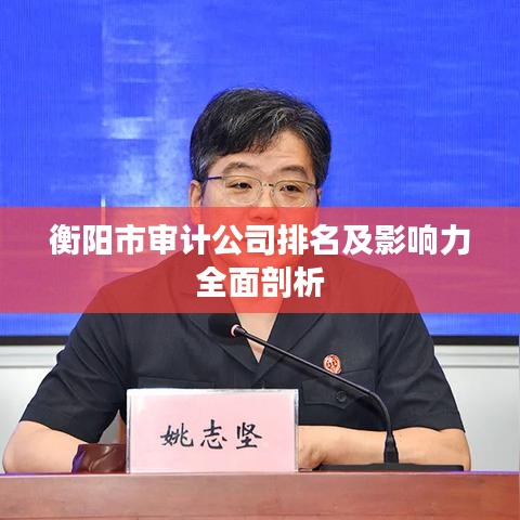 衡阳市审计公司排名及影响力全面剖析