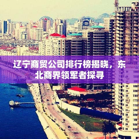 辽宁商贸公司排行榜揭晓，东北商界领军者探寻
